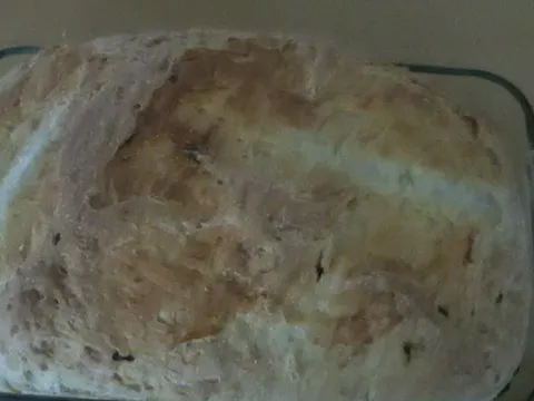 kruh s kupusom by Biserko