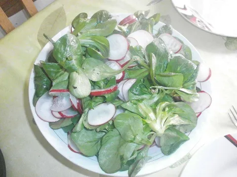 Matovilac salata