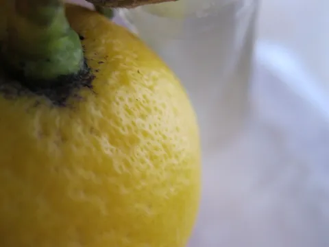 Sirup od limuna