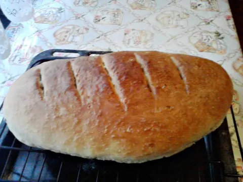 Friški domaći kruh