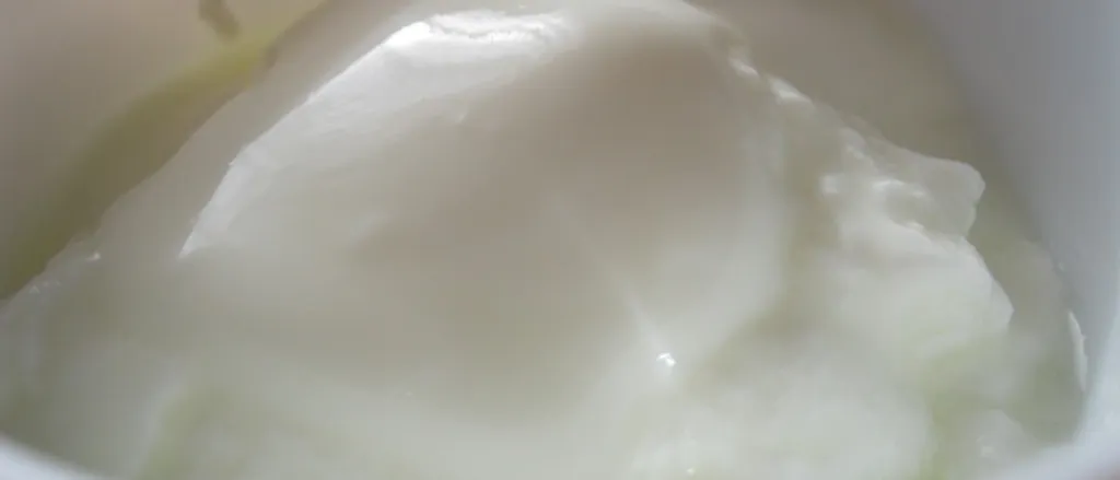 Yoghurt is