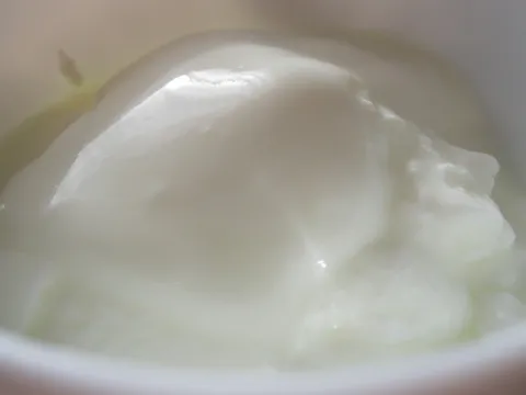 Kombinirani jogurt