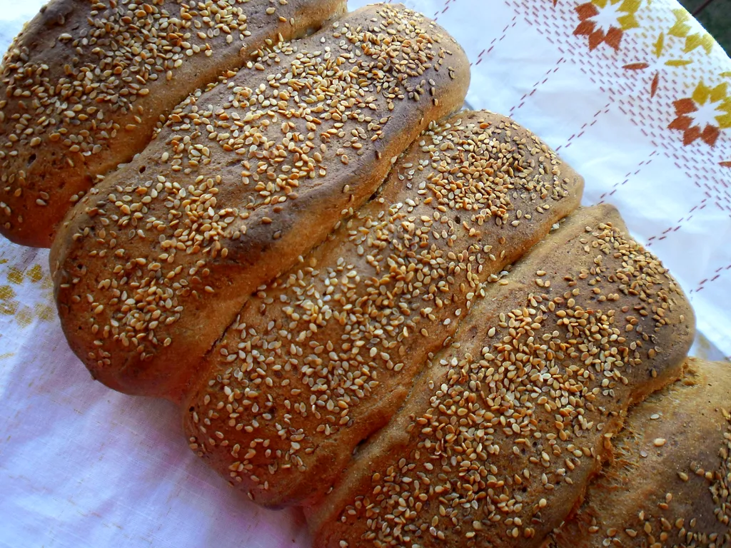 DAKTYLA-grčki kruh sa Cipra