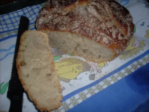 No Knead Bread by DijanaD