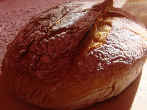kruh by DajanaD