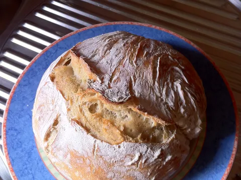 No Knead Bread by dajanaD