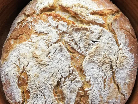 No Knead Bread - - - DajanaD