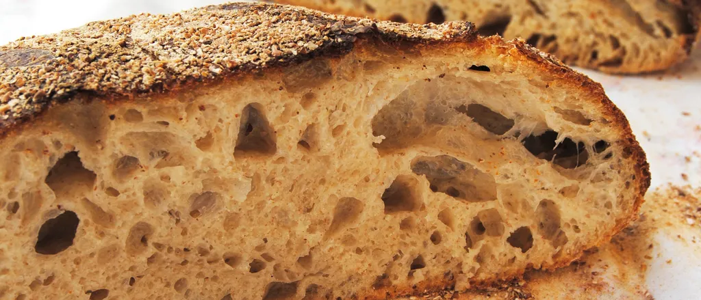 Kruh bez kvasca