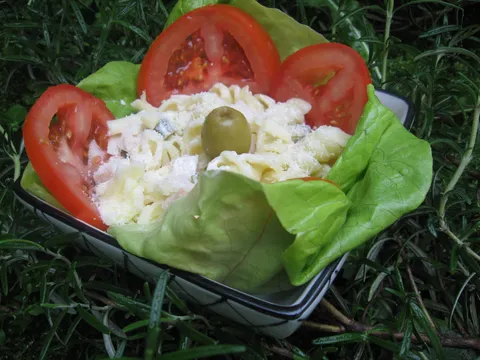 Salata od makarona