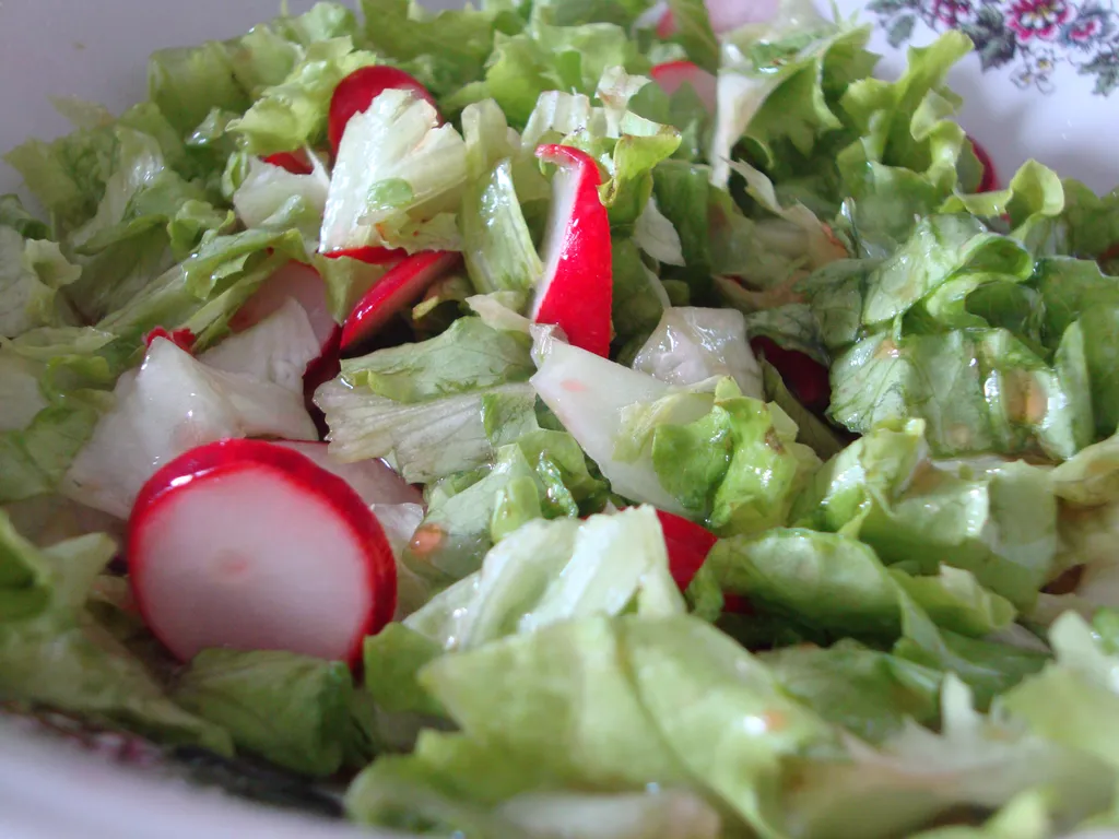 Lagana zelena salata s ravanelama