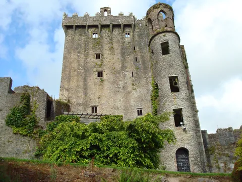 Dvorac Blarney