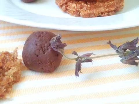 Oat cookies by lorelei8 & Dukan čokoladne kuglice by ancica