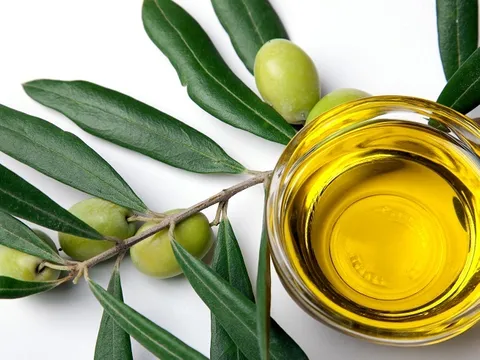 Kako odabrati kvalitetno maslinovo ulje?
