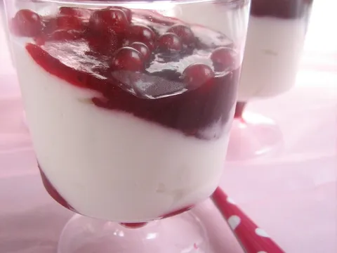 Lagana krema od jogurta s ribizlama