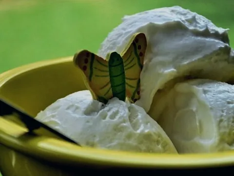Sladoled od vanile ili&#8230;