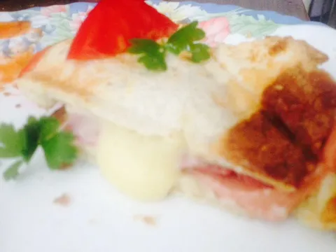 Tost sendvić