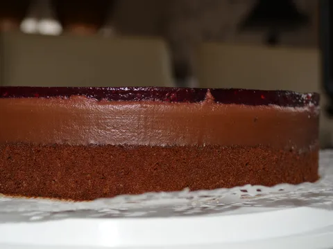 Cokoladni kolac sa zeleom od sumskog voca