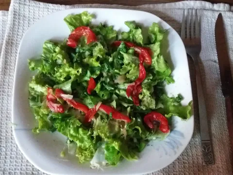 Proljetna Salata