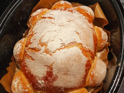 Sunka u kruhu