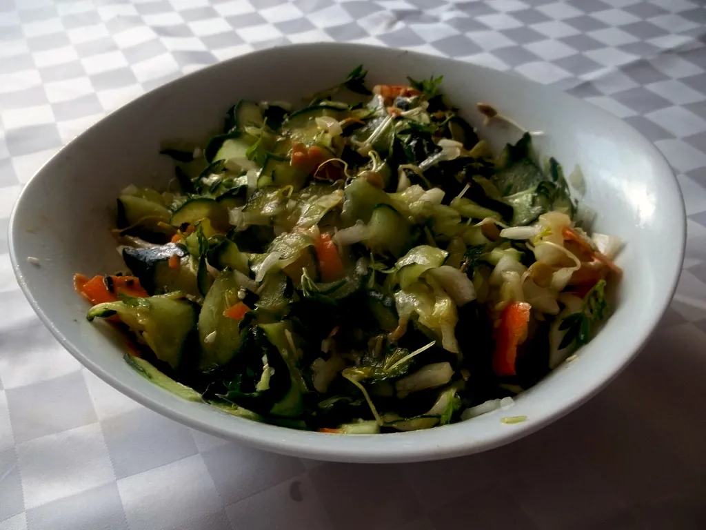 Salata od svjezeg povrca i klica