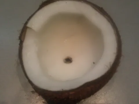 Kokosovo mleko, brasno i ulje