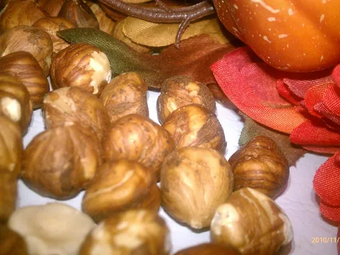 Uzgajanje klica sjemenki (Nuts)