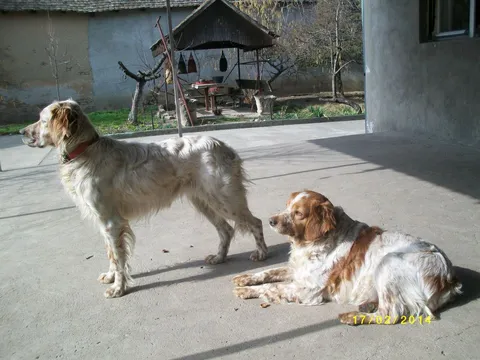 Malena (desno) i Lola