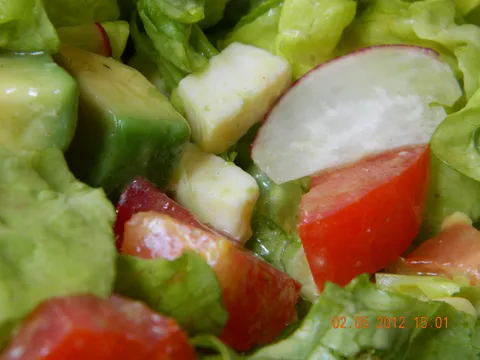 Salata sa avokadom