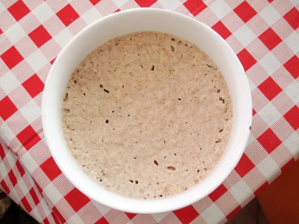 Prirodni kvasac za kiselo tijesto (iliti "sourdough starter")