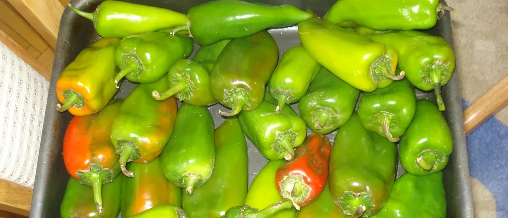 Malidjano ajvar od zelenih paprika