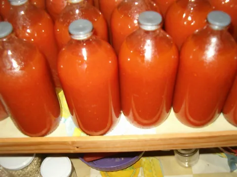 domaći sok od paradaiza