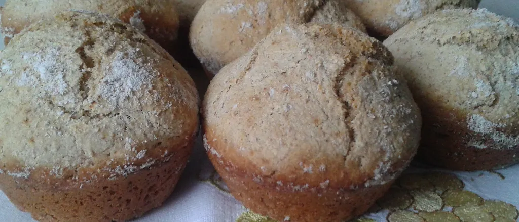Integralni muffins