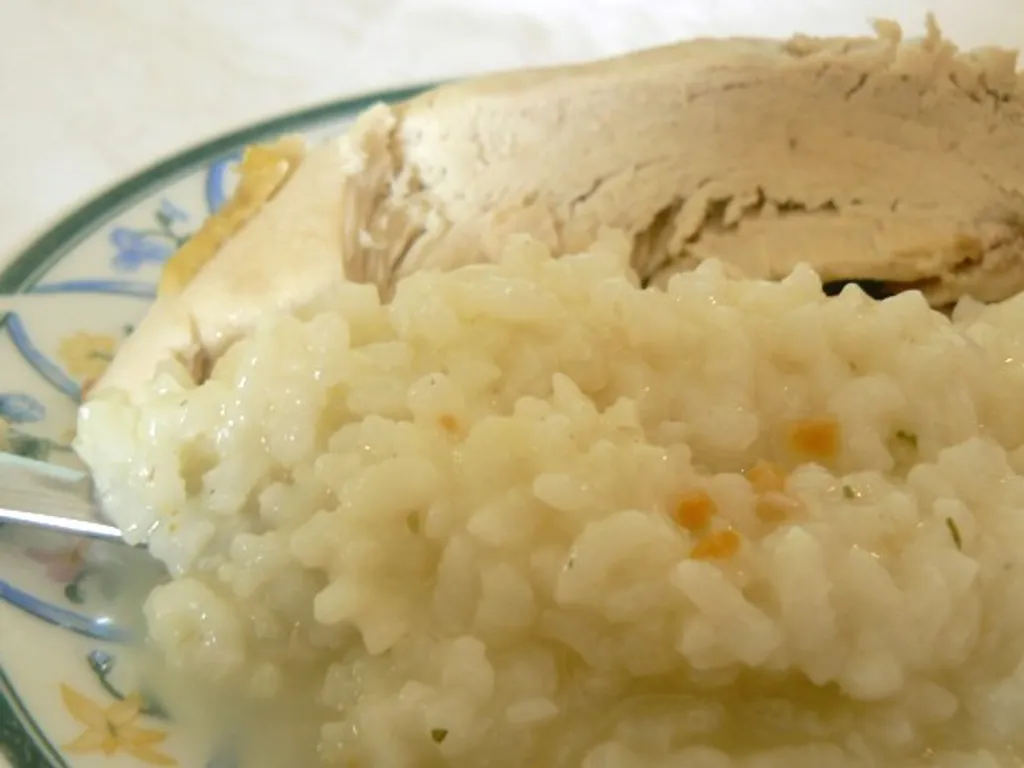 Lagana piletina s rižom
