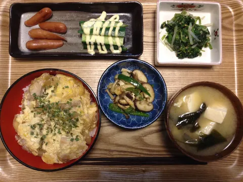 Japanska večera