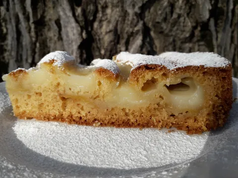 Apfelkuchen mit Vanillecreme by Erna-Recepti