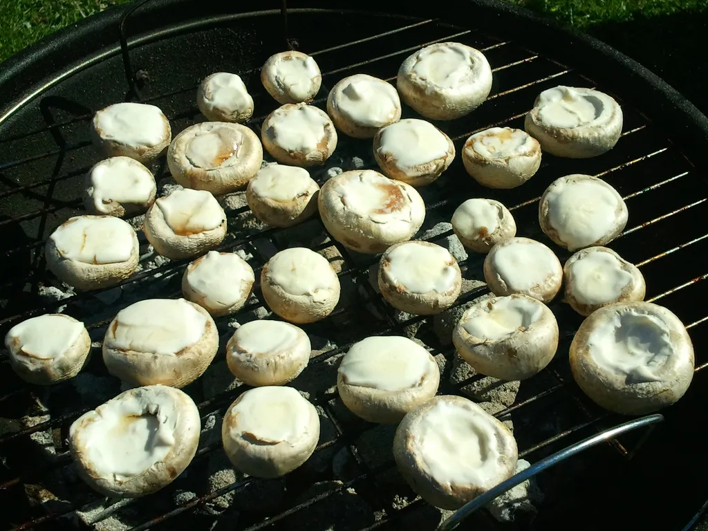 Punjene gljive za gradele