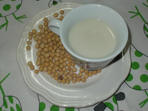 Sojino domaće mlijeko