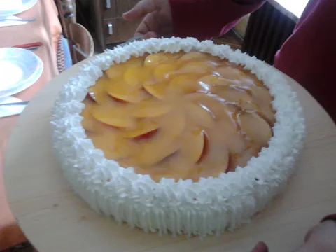 Torta s nektarinama by dianamakarska