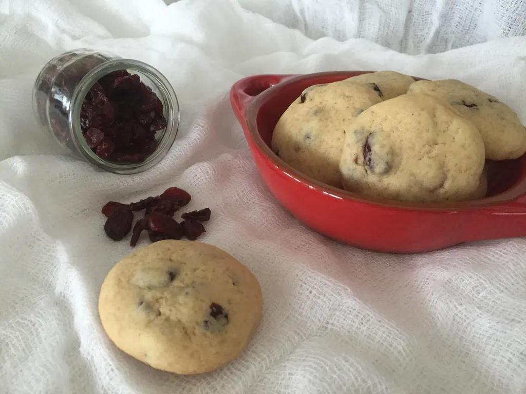 Keksi sa brusnicom - Cranberry Cookies