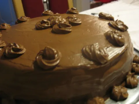 Fina cokoladna torta