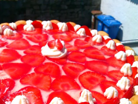 piskotna torta s jagodama by tamarichka