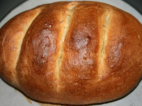 Moj hleb