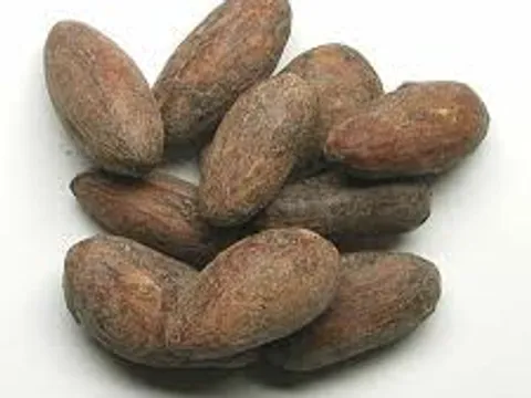 kakao zrnca