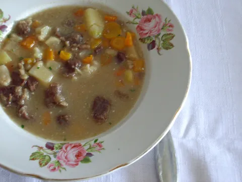 Ragout (ili obiteljska) juha
