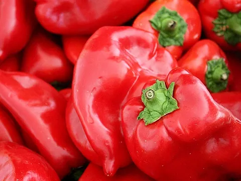 crvena paprika