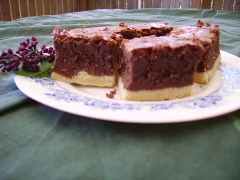 Chocolate fudge slices by Dajana D.