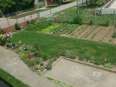 moj vrt...
