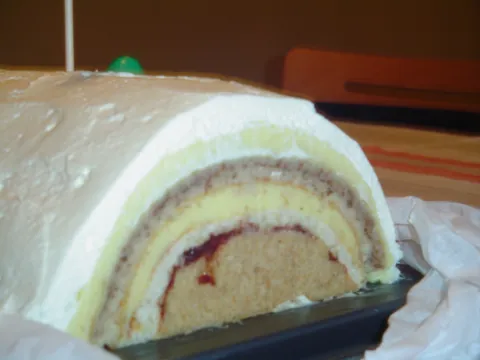 Tunel torta by BiserkO