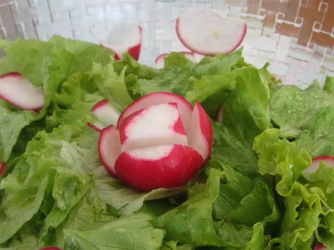 Zelena salata s rotkvicama