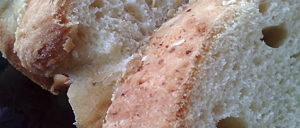 Mlijecni kruh